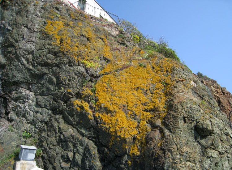 Uno scoglio giallo